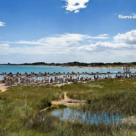 Lamia di Nonna Mena Villa San Vito dei Normanni Esterno foto