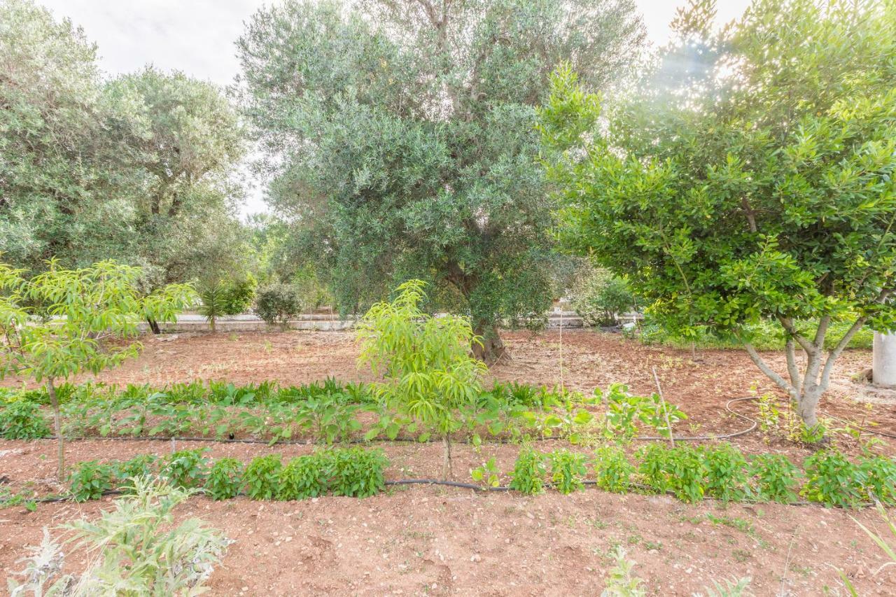 Lamia di Nonna Mena Villa San Vito dei Normanni Esterno foto